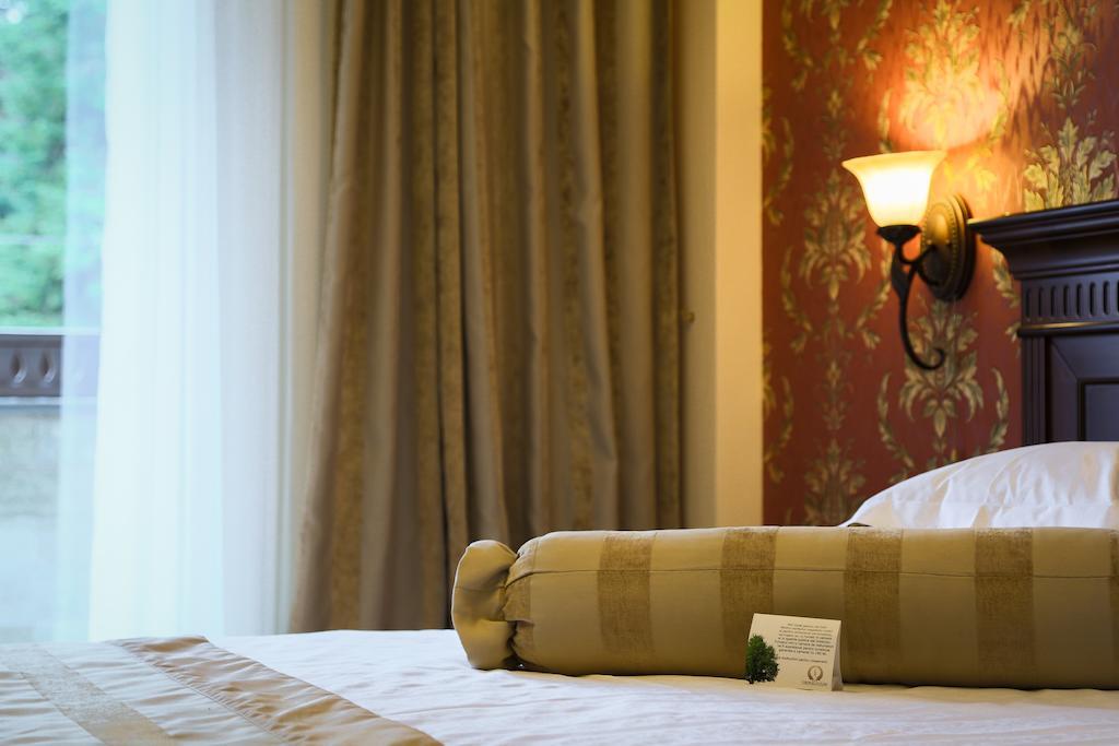 Hotel Foisorul Cu Flori Sinaia Ruang foto